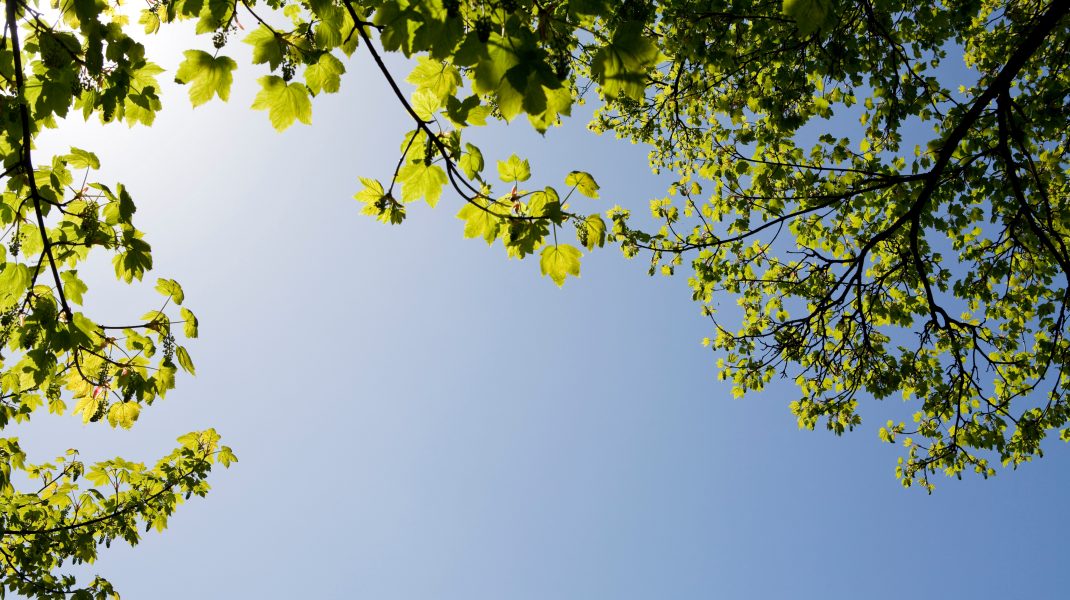 Temperaturi de peste 30 de grade, azi, în Capitală