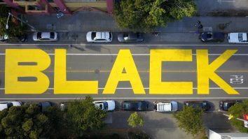 Alegătorii-de-culoare