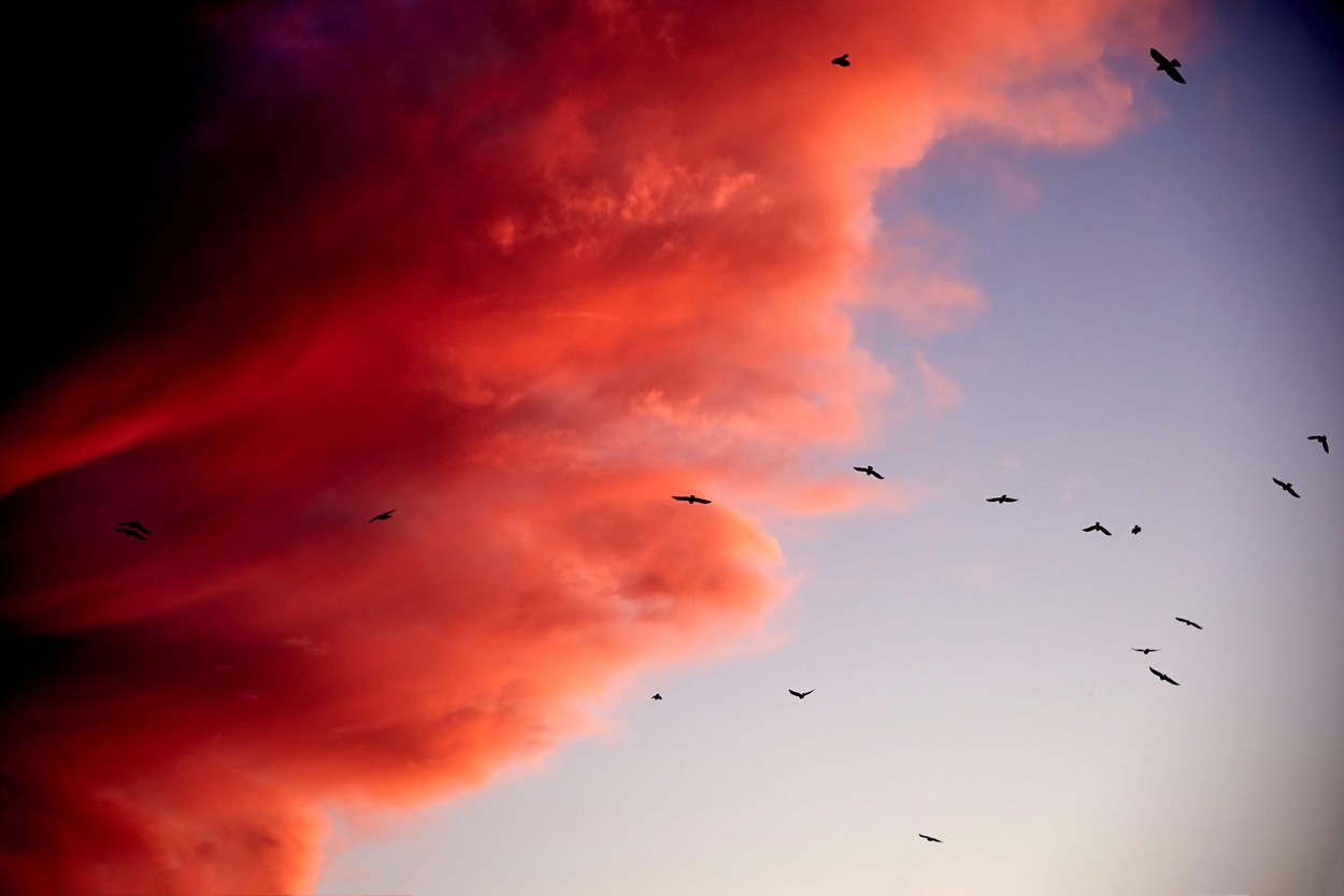 Predicțiile unui cercetător, bazate pe modele matematice: Deceniul următor poate fi mai rău. În 2010, el a prezis „criza 2020”