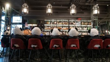 Proprietarul unui restaurant din Frankfurt a ales să protesteze în mod inedit: și-a umplut localul cu urși panda de jucărie