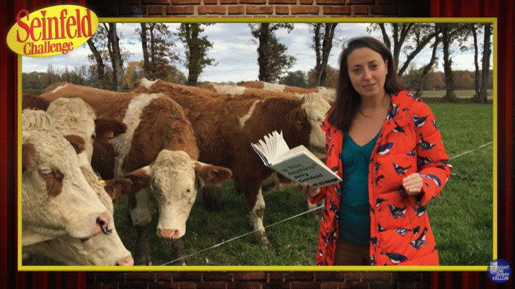 Cum l-a făcut o artistă româncă de stand-up pe Seinfeld să râdă