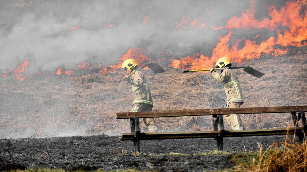 Nevada S A Aprins Incendii De VegetaÈ›ie LangÄƒ OraÈ™ul Reno Unde Era ZÄƒpadÄƒ Acum 2 SÄƒptÄƒmani