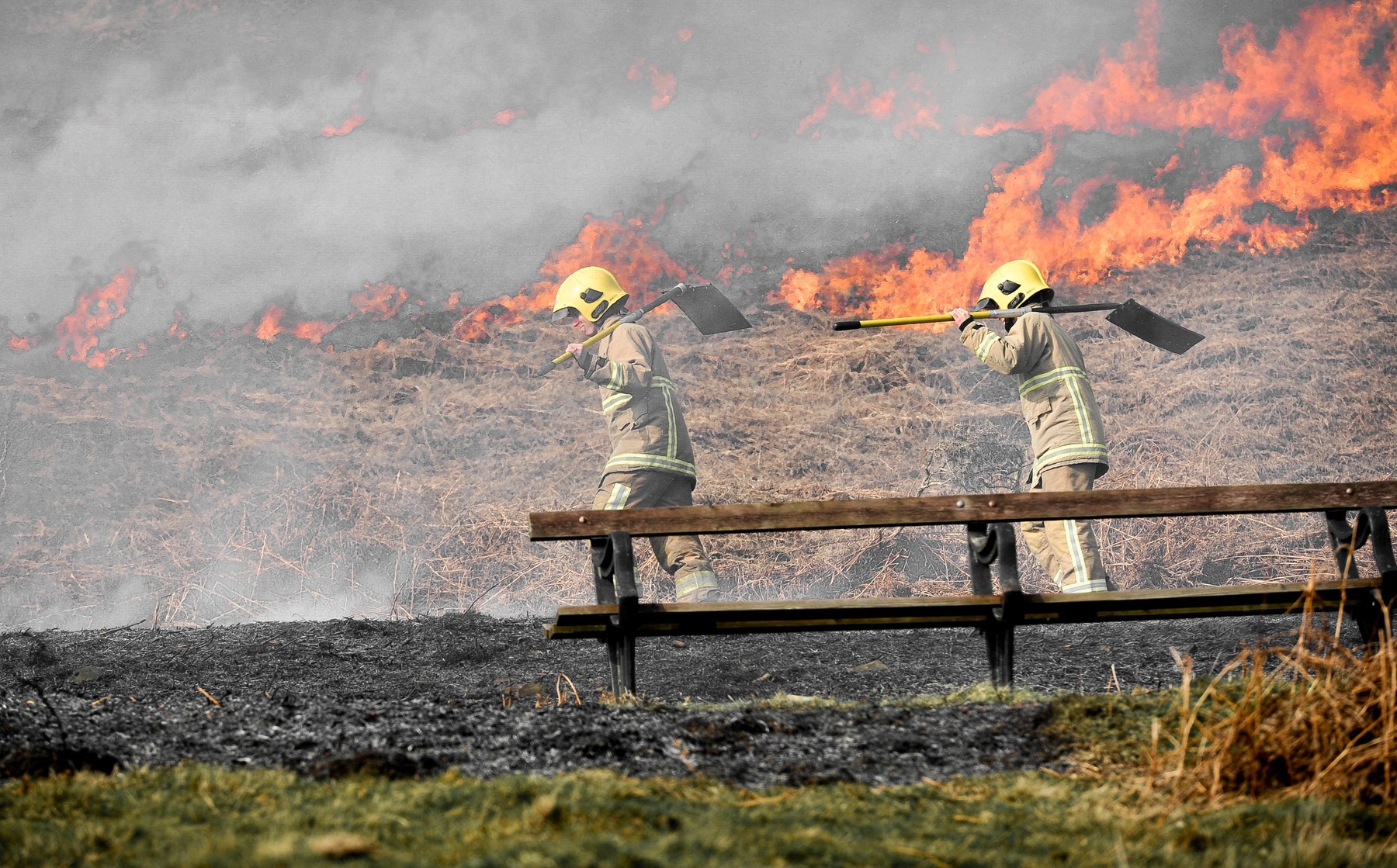 Nevada s-a aprins. Incendii de vegetație lângă orașul Reno, unde era zăpadă acum 2 săptămâni