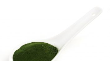 Doi francezi demonstrează în câte moduri poate fi folosită spirulina