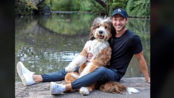 Cățelul baschetbalist, vedetă pe Instagram