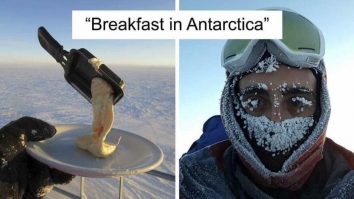 Ce se întâmplă dacă iei micul dejun în aer liber… în Antarctica. GALERIE FOTO