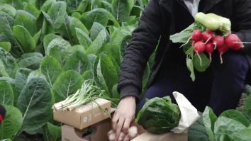 Ce vor antreprenorii de la următoarele alegeri? Domeniul în care România necesită îmbunătățiri radicale