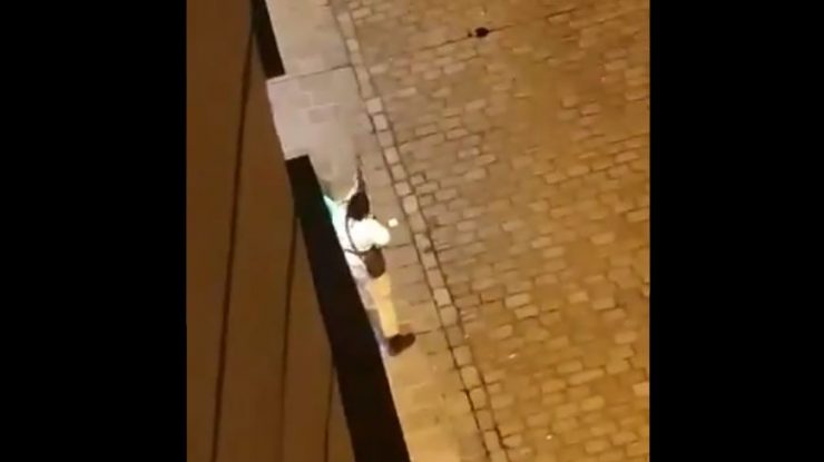 Atac terorist în Viena. Cehia introduce controale la granița cu Austria