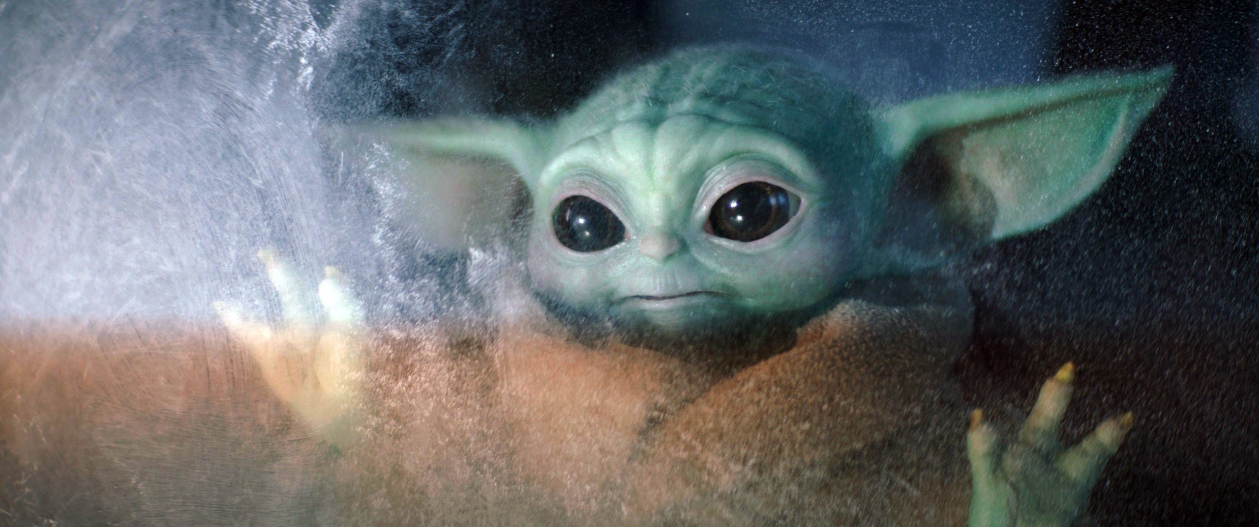 Baby Yoda a ajuns în Spaţiu. Cel mai drăgălaș astronaut de pe Falcon 9