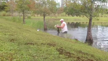Momentul în care un bărbat se luptă cu un aligator pentru a salva un câine. VIDEO