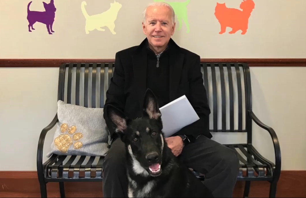 Joe Biden s-a accidentat în timp ce se juca cu câinele său. Președintele ales al SUA are fracturi la oasele tarsiene