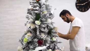 Brad de Crăciun gata împodobit, direct la tine acasă. Cât scoți din buzunar