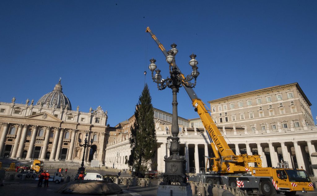 Crăciun la Vatican 2020: Bradul a fost adus în Piața Sfântul Petru. Cum va fi decorat anul acesta