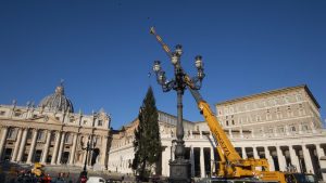 Crăciun la Vatican 2020: Bradul a fost adus în Piața Sfântul Petru. Cum va fi decorat anul acesta