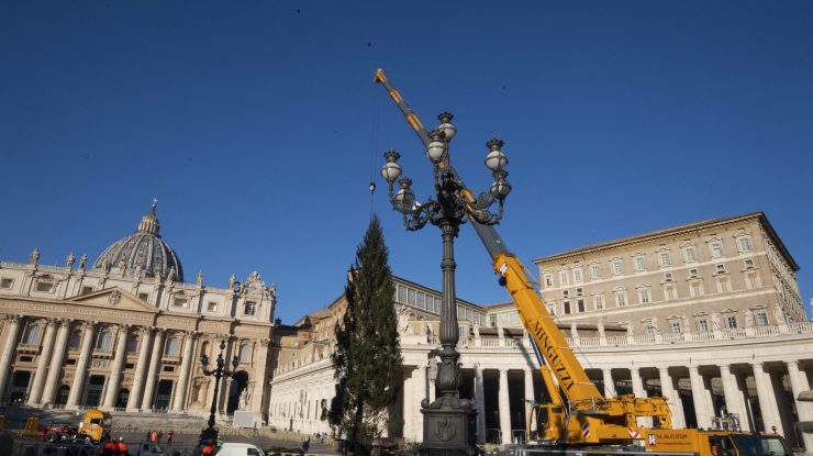 Crăciun la Vatican 2020: Bradul a fost adus în Piața Sfântul Petru. Cum va fi decorat anul acesta
