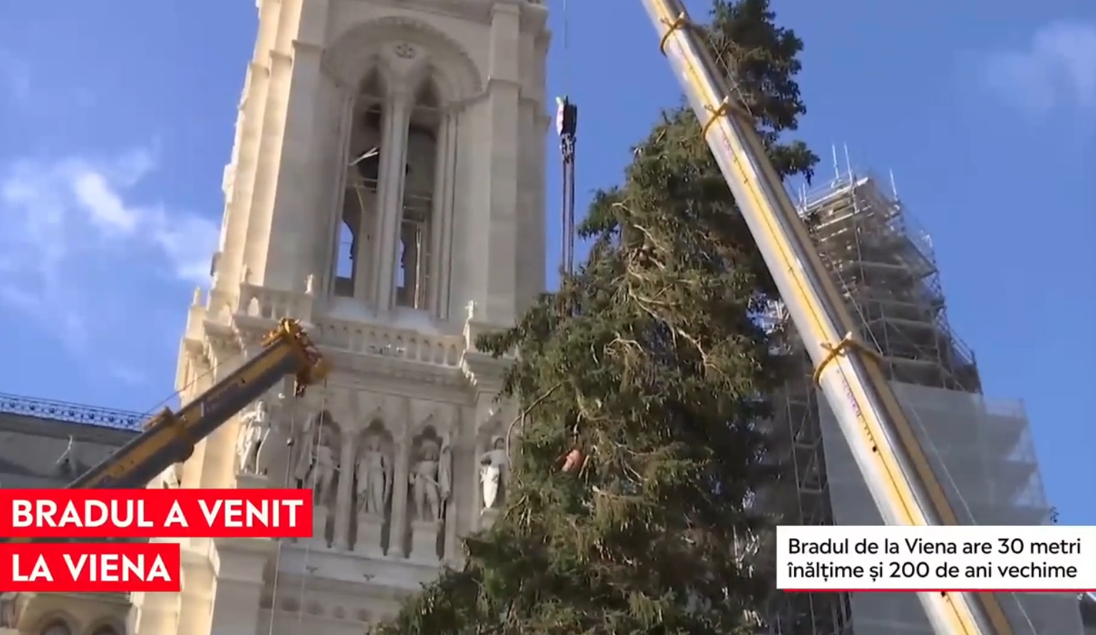 Bradul de Crăciun a ajuns la Viena. A fost întâmpinat ca un semn al revenirii la normalitate, după atacul de duminică