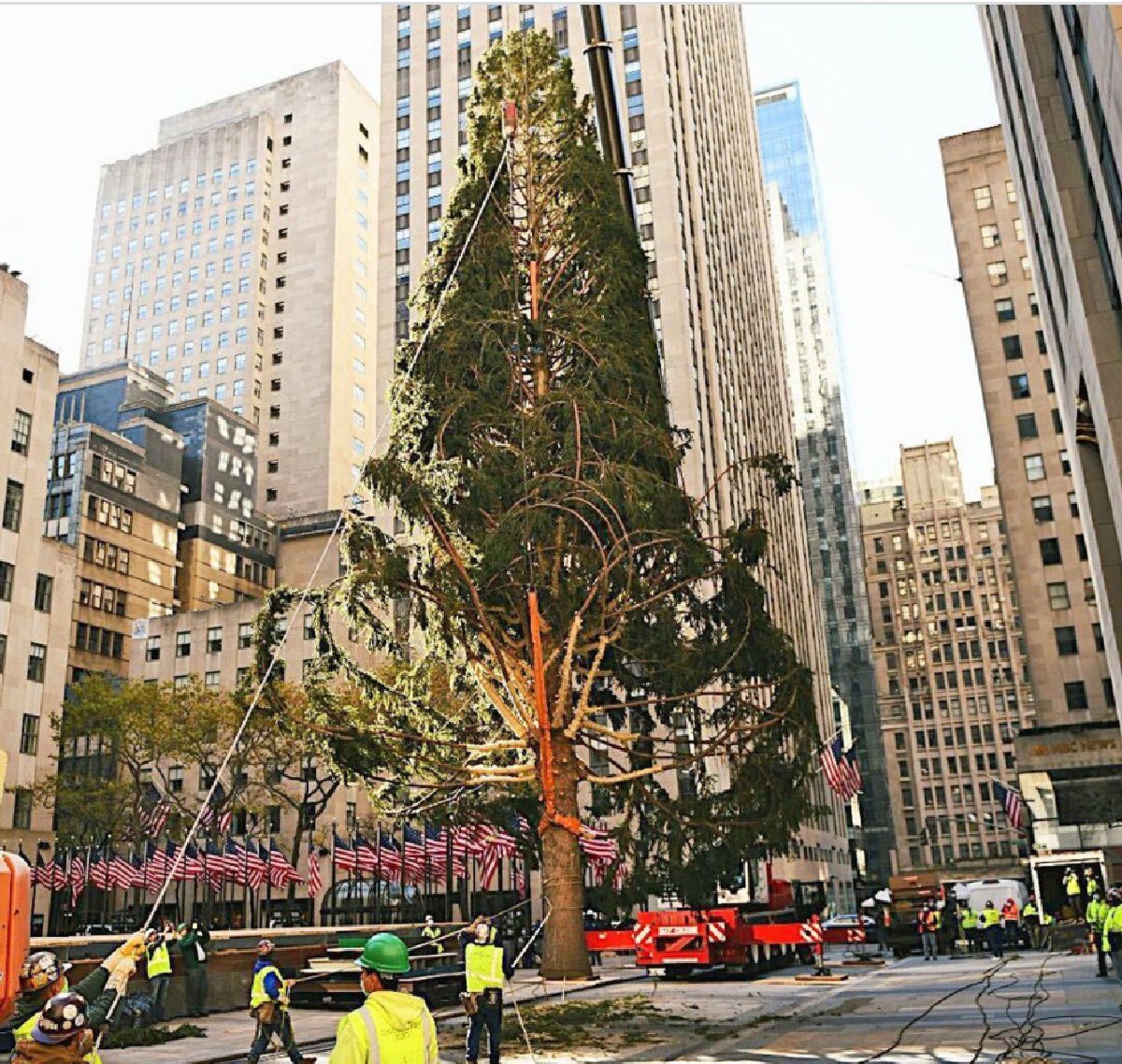 Faimosul brad de Crăciun din Rockefeller Center, în ton cu anul 2020. De ce au fost dezamăgiți oamenii