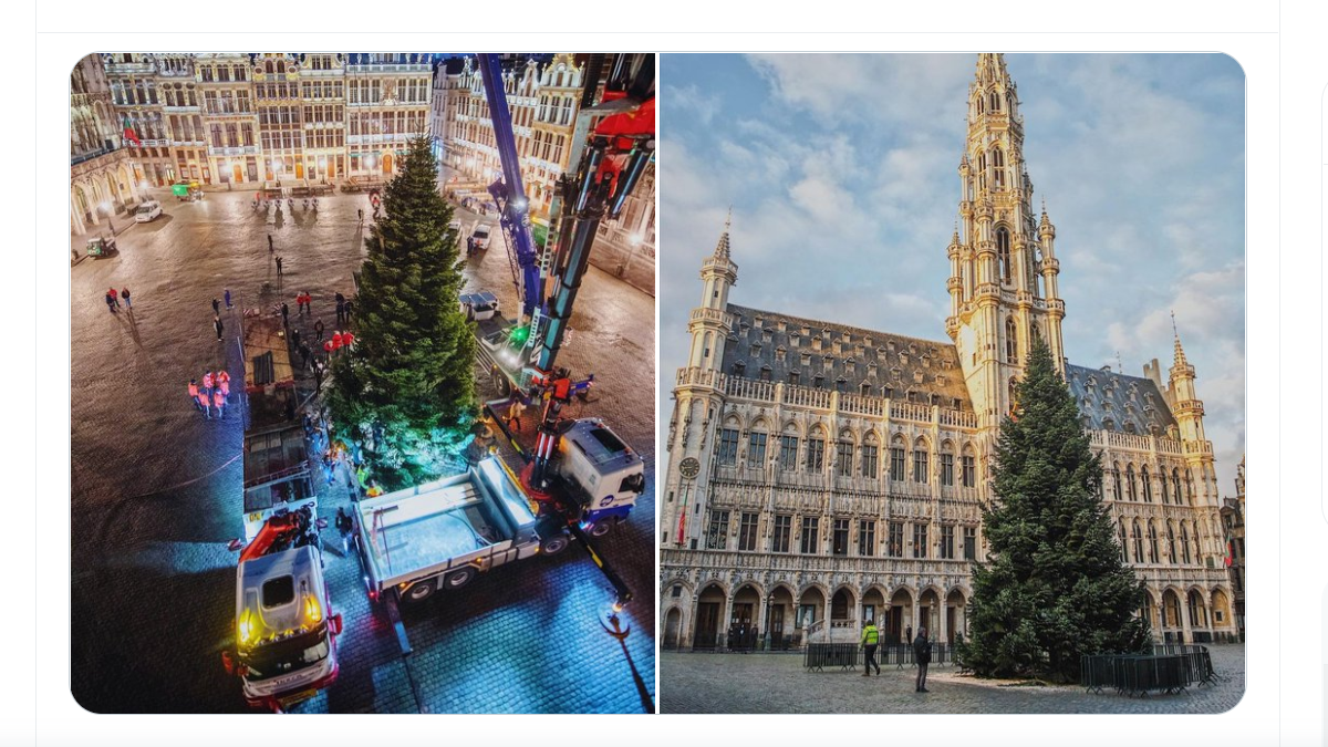 Bradul de Crăciun din Bruxelles, înalt de 18 metri, va fi împodobit azi. Târgul de Crăciun, anulat