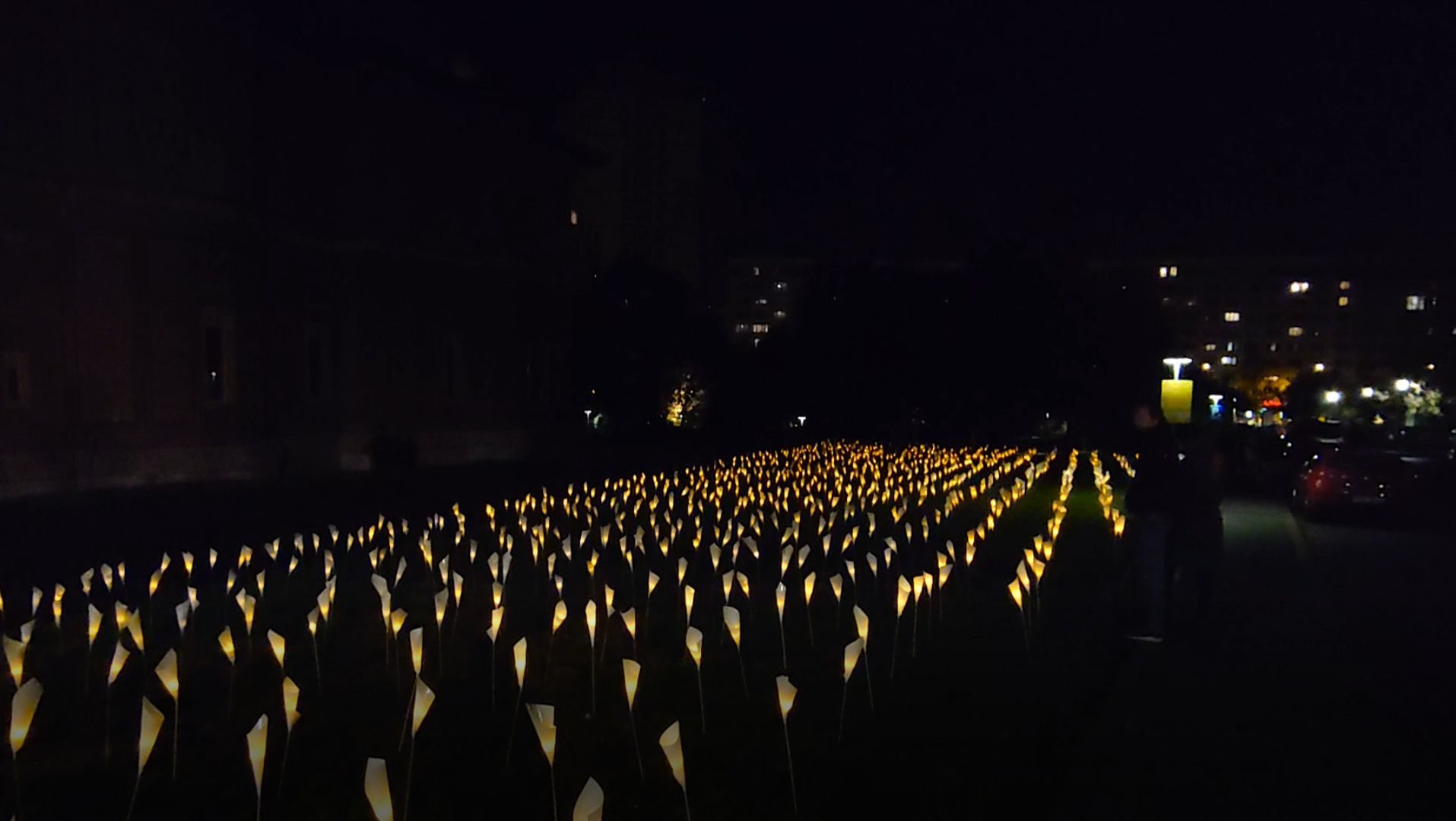 1.166 de flori „aprinse” în memoria victimelor Revoluţiei