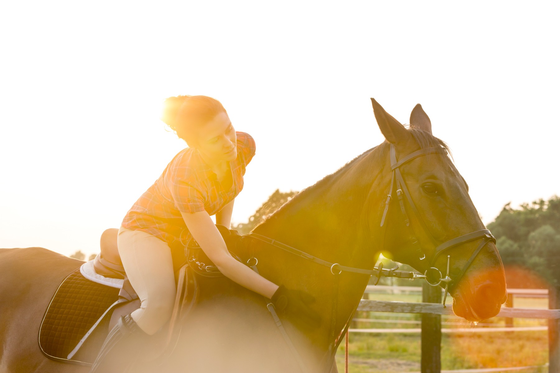 Cursele de cai aduc bani frumoși. Cele mai bănoase competiții