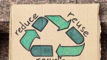 „Îngropăm niște bani”. Ce ar trebui să facă parlamentarii pentru mediu? Răspunsurile ecologiștilor