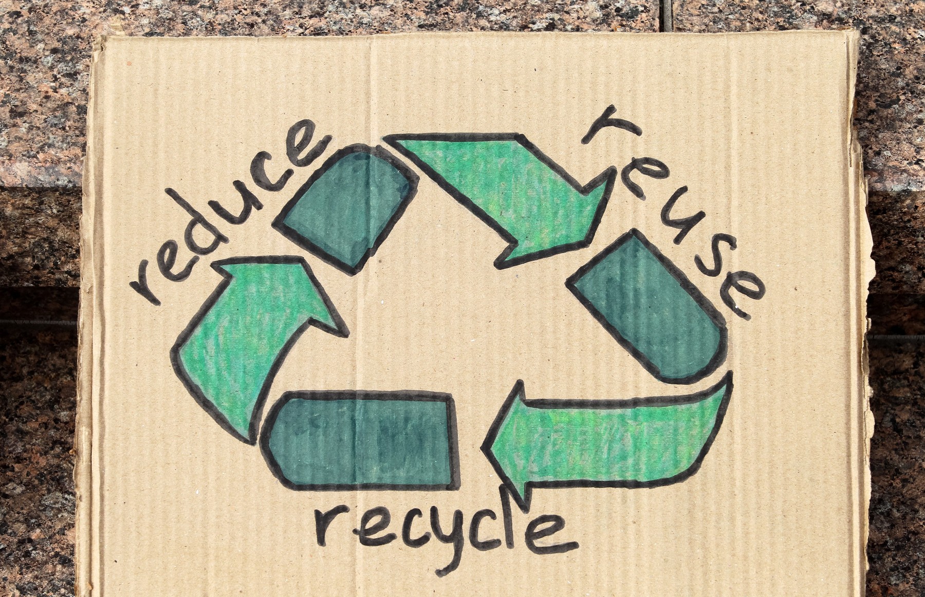 „Îngropăm niște bani”. Ce ar trebui să facă parlamentarii pentru mediu? Răspunsurile ecologiștilor