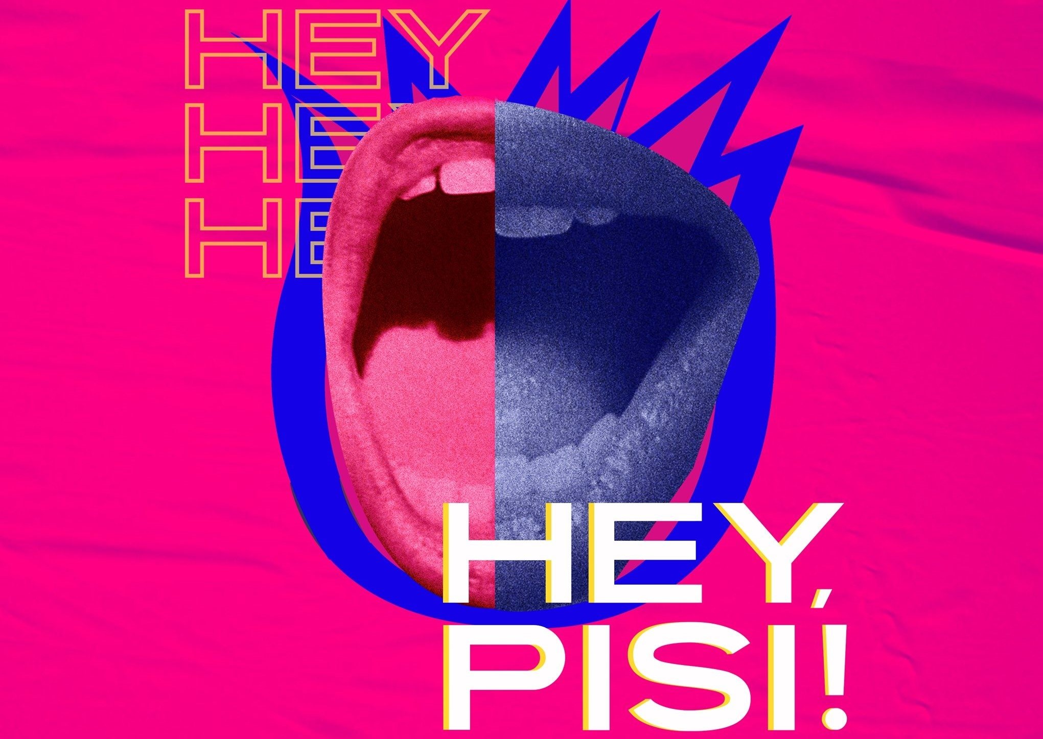 Arta, folosită pentru a exemplifica hărțuirea stradală. Expoziția „Hey, pisi!” poate fi văzută la Palatul Suțu din București