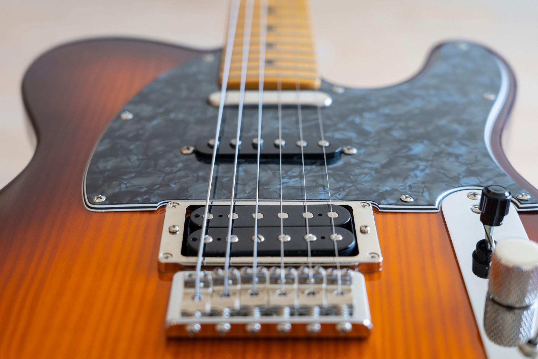 Fender, cea mai faimoasă chitară din lume, nu se mai produce din cauza unei insecte