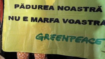 Greenpeace dă alarma de mediu. Petiția prin care putem să ajutăm la plantarea pădurilor pe teritoriul României
