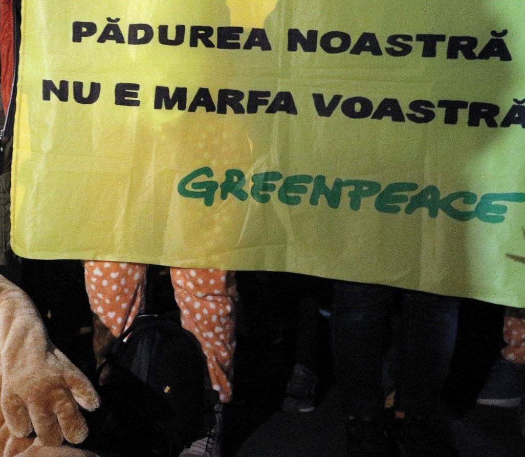 Greenpeace dă alarma de mediu. Petiția prin care putem să ajutăm la plantarea pădurilor pe teritoriul României