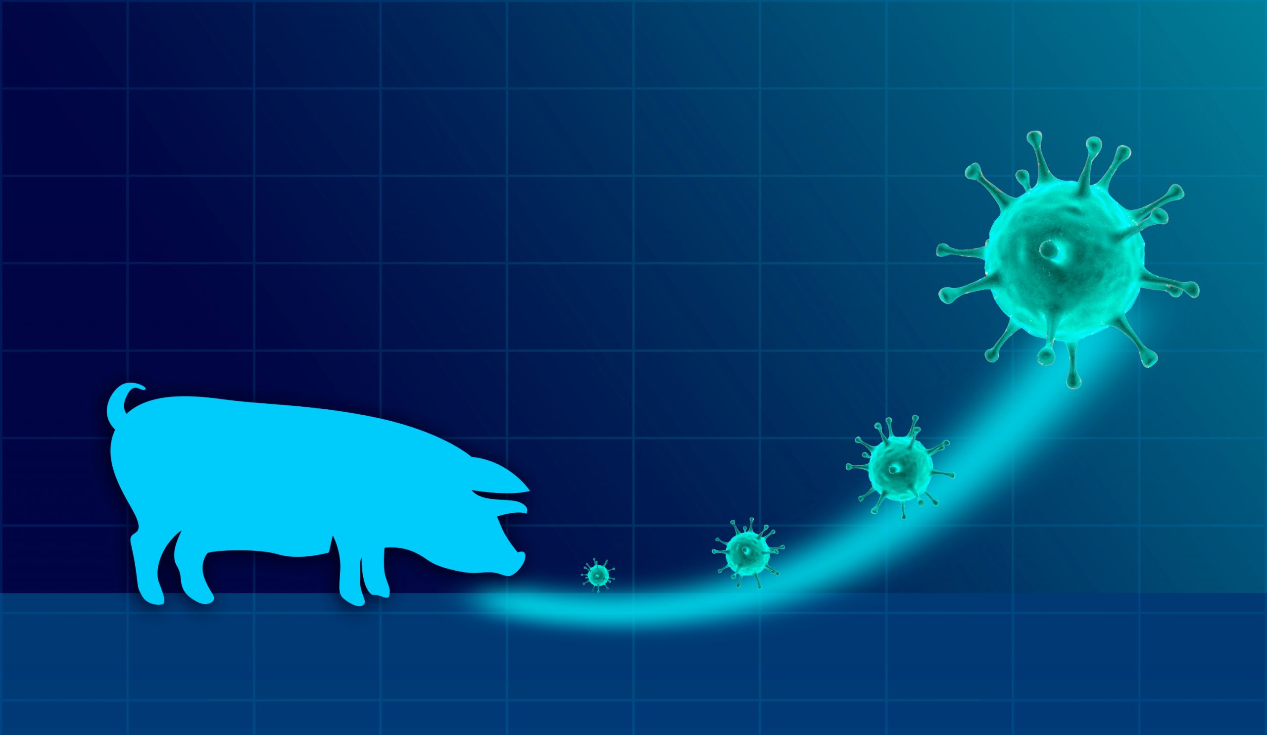 Formă rară de gripă porcină în Canada. Autorităţile încearcă să afle cum a apărut