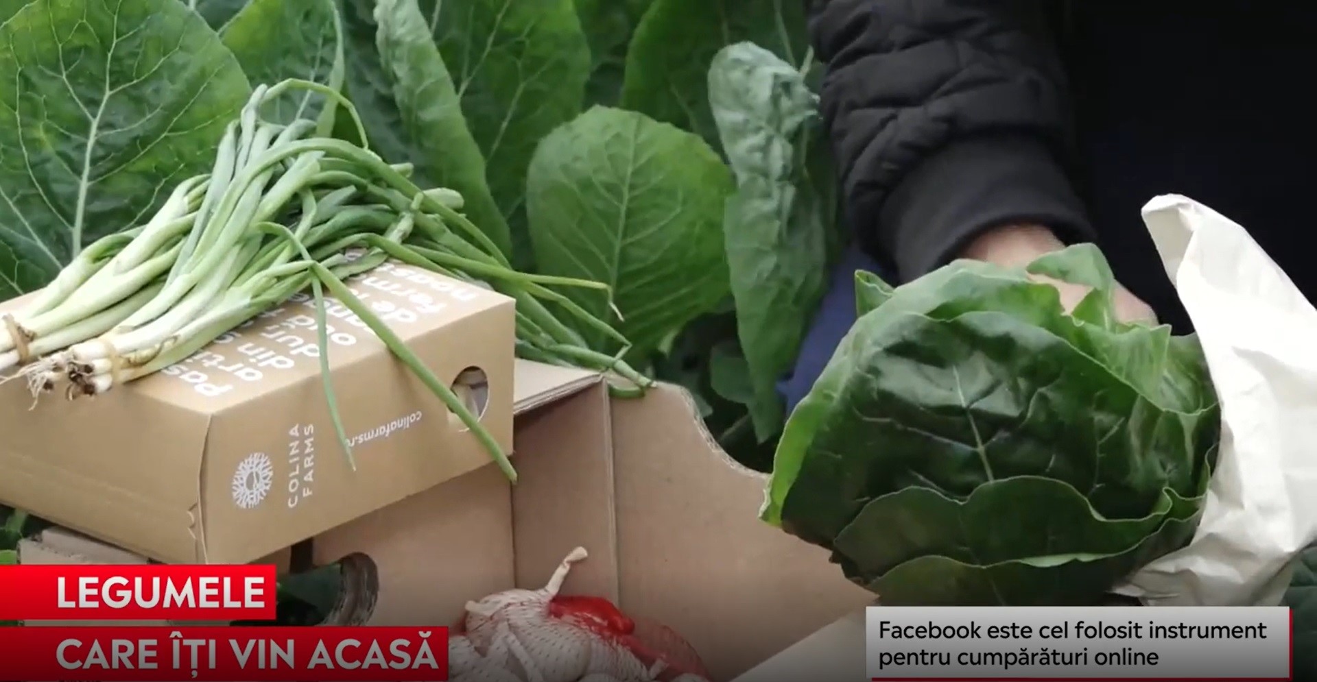 Cererea de legume bio comandate online şi livrate la domiciliu a crescut în pandemie