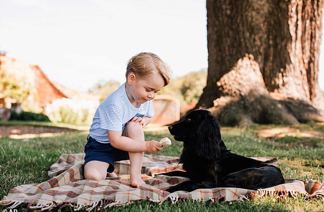 Lupo, câinele lui Kate Middleton și al prințului William, a murit