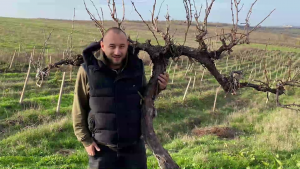 Comisia Europeană sprijină producătorii români de vin cu 12,4 milioane de euro. Reacția unui manager de podgorie de la Iași