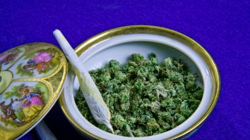 Folosirea marijuanei în scop recreațional a fost votată de alegătorii din New Jersey