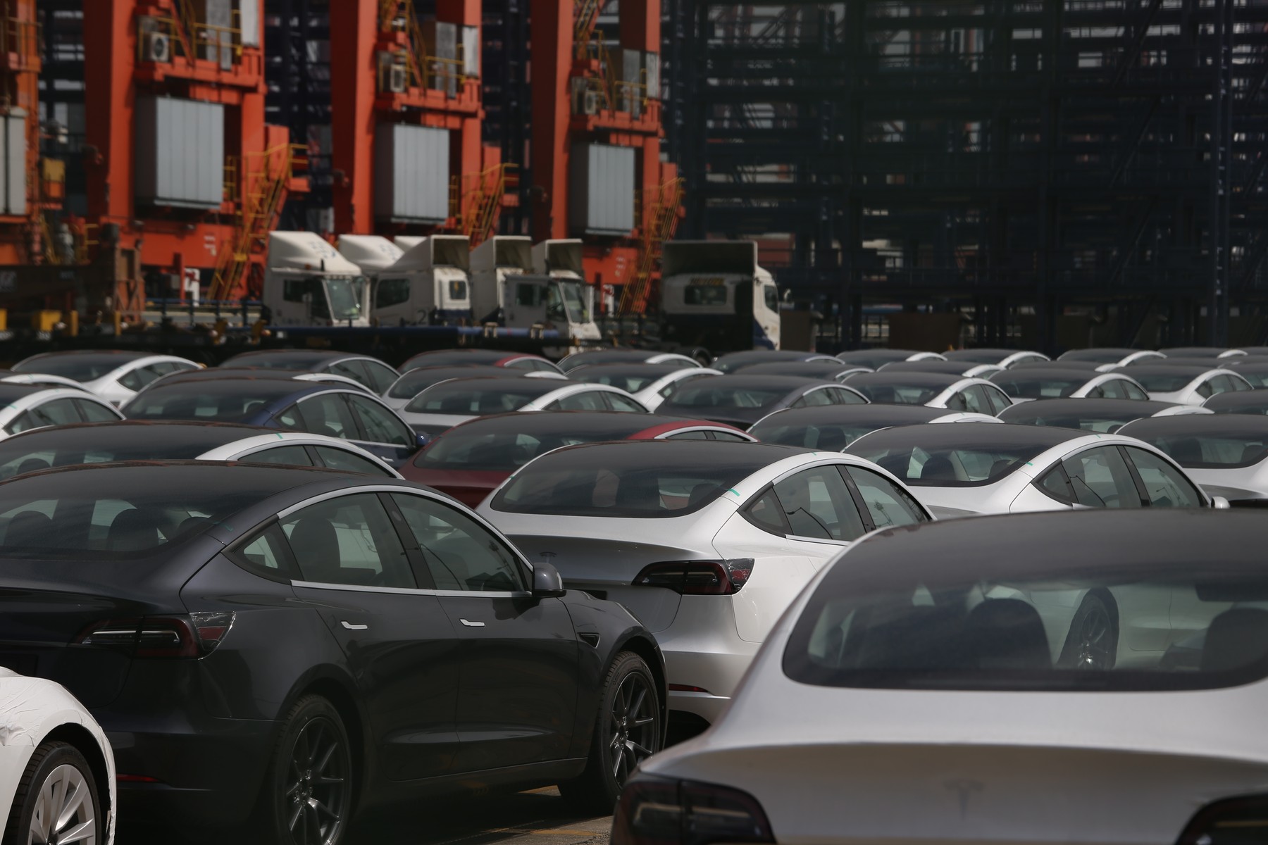 Mașinile electrice câștigă teren. Mai mult de jumătate din cele vândute la nivel mondial au fost cumpărate de europeni