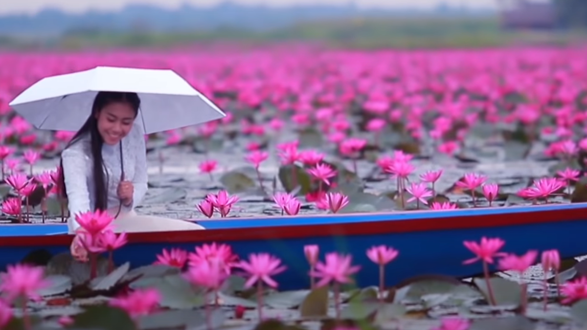 Lacul cu nuferi roz, unul dintre cele mai neobișnuite din lume