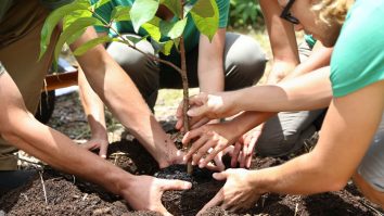 Harta Google cu cele mai bune locuri pentru plantarea copacilor. Care este primul oraș în care va fi testată