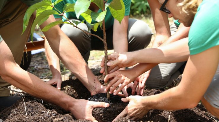 Are 23 de ani şi a plantat mai mulţi copaci până acum decât oricare minister al Mediului