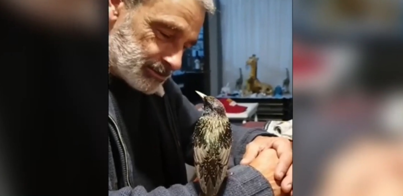 Un videoclip în care o pasăre învaţă un cântec de la un om a devenit viral pe TikTok