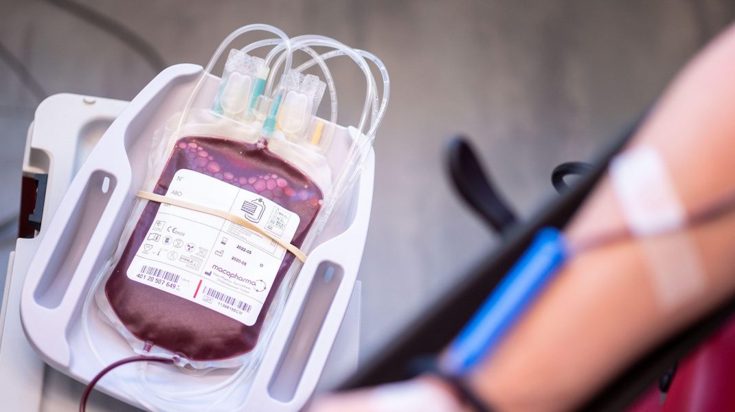 Plasma Covid-19