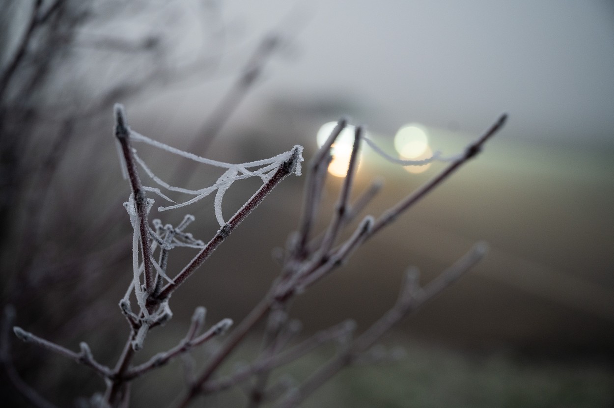 Prognoza meteo. Ninsori moderate și temperaturi în creștere