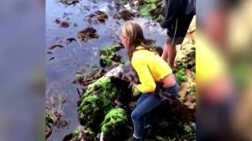 VIDEO. Cum a reușit o fetiță de 11 ani să salveze un rechin prins între stânci