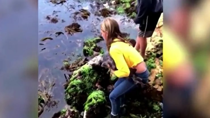 VIDEO. Cum a reușit o fetiță de 11 ani să salveze un rechin prins între stânci
