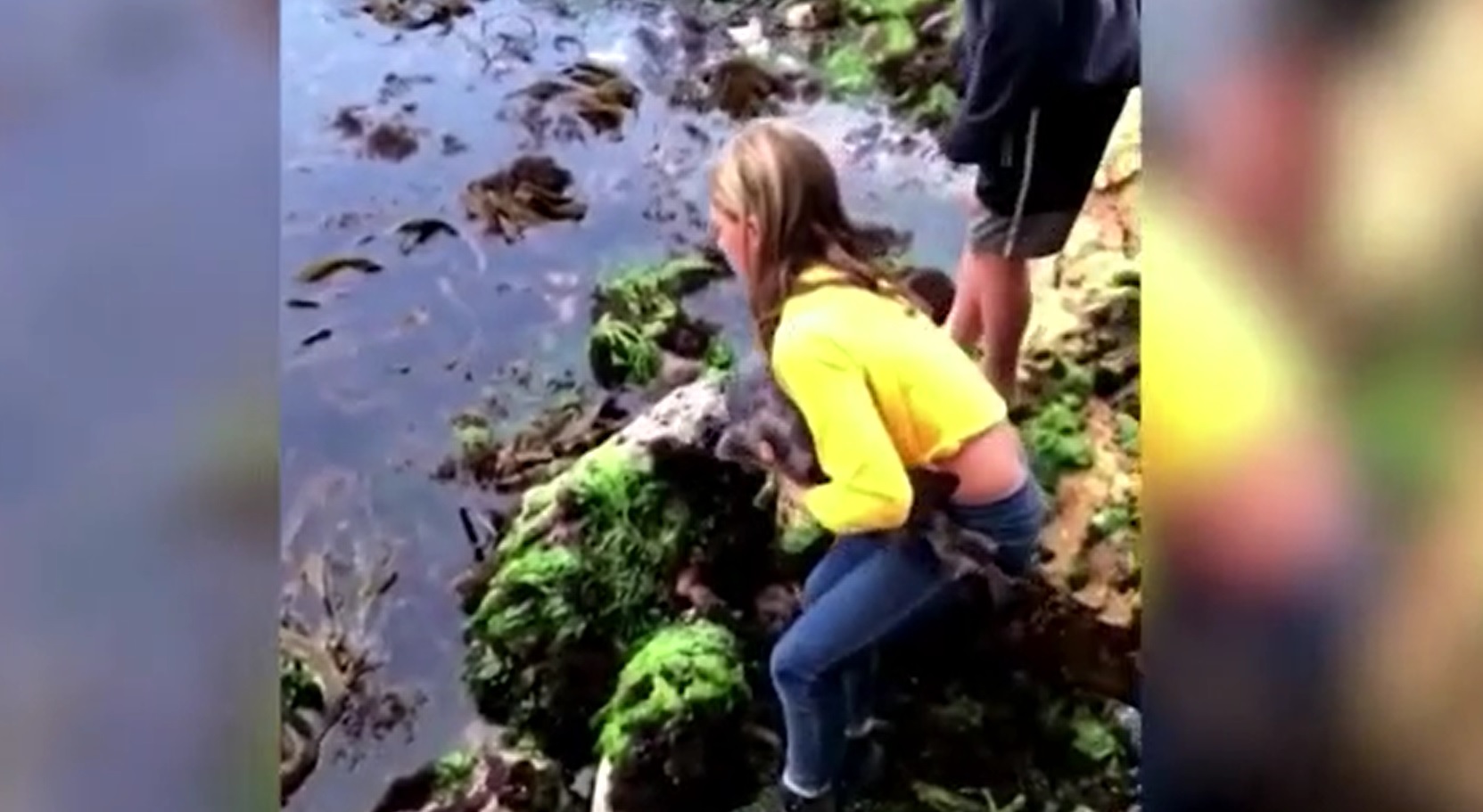 VIDEO. Cum a reușit o fetiță de 11 ani să salveze un rechin prins între stânci