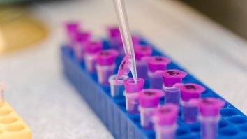 O companie americană anunţă că a creat un nou tip de test rapid, cu o acuratețe de peste 90%