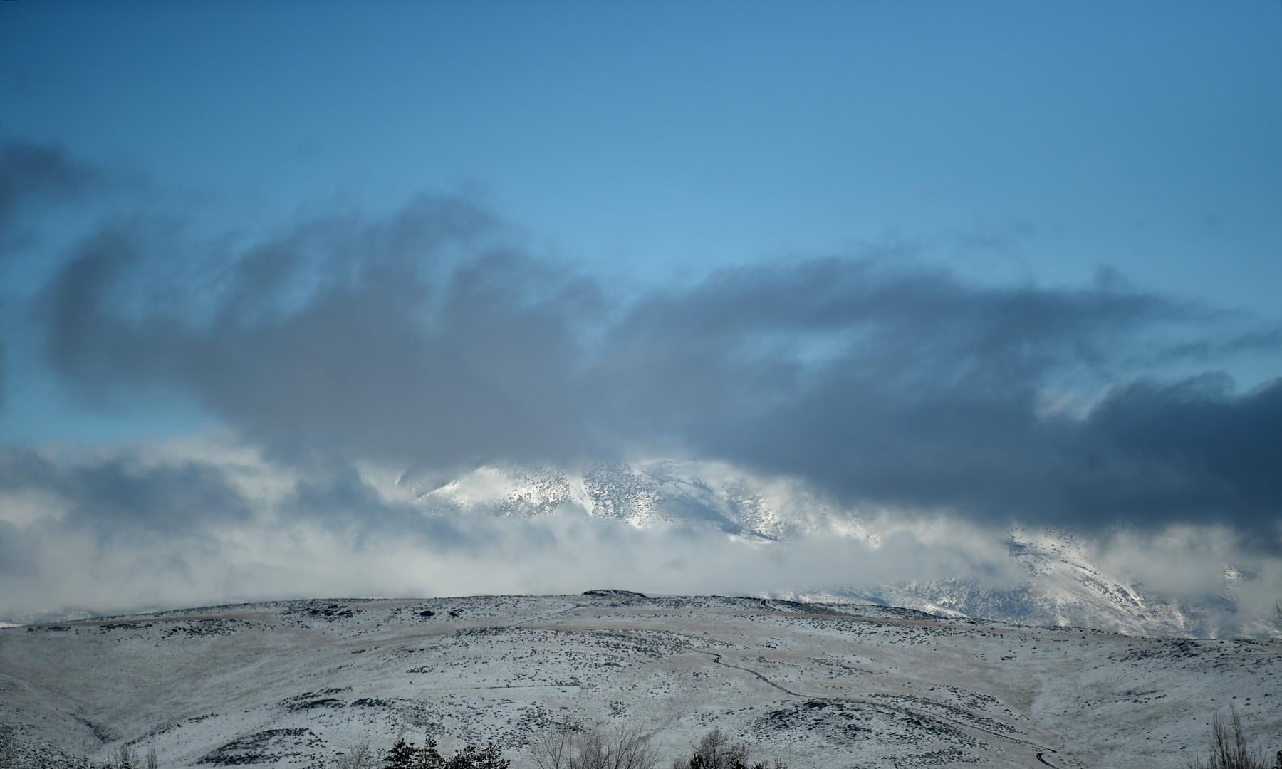 Zăpadă în deșert. Fenomenul impresionant dintr-un stat american