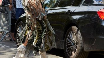 Încălțămintea poate deveni un moft: cele mai ciudate modele de pantofi