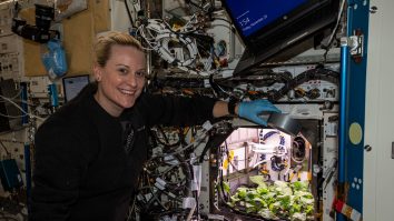 NASA crește ridichi în spațiu. Legumele vor fi subiect de studiu în 2021