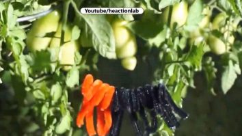 Greutatea la care cedează o pânză de păianjen, în comparație cu o sârmă de oțel